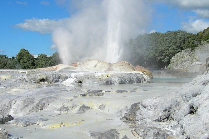 Private Full-Day Rotorua Tour from Auckland - Geothermal Rotorua: mud pools, geysers, and hot springs
