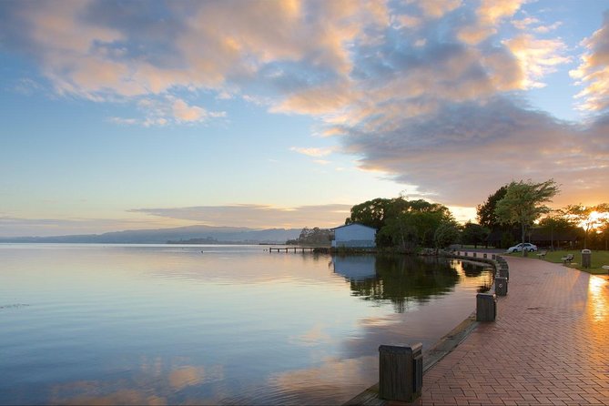 Private Full-Day Rotorua Tour from Auckland - The Redwoods offer a quiet change of pace