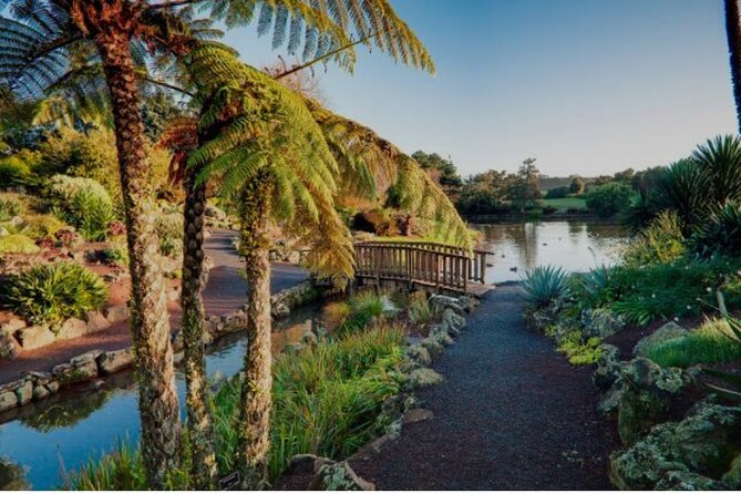 Private FullDay Auckland Sightseeing Tour with Optional PihaBeach - A full day that makes Auckland easier to understand