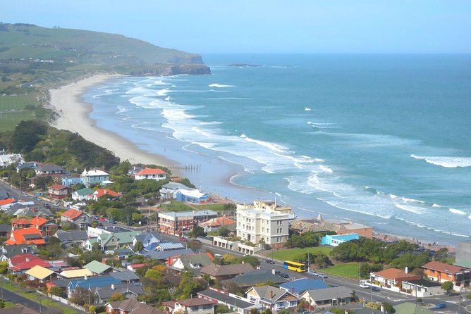 Private Guided Tour of Dunedin City Heritage and Unique Wildlife and Scenery - Key points to know before booking