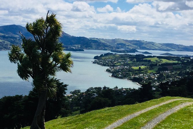 Private Guided Tour of Dunedin City Heritage and Unique Wildlife and Scenery - Olveston Historic Home: a worthwhile paid addition