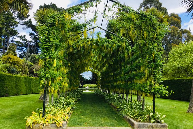Private Guided Tour of Dunedin City Heritage and Unique Wildlife and Scenery - The Otago Peninsula is the day’s big scenic payoff