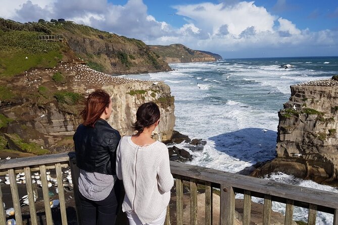 [PRIVATE] Haka to Waves Auckland West Coast Journey - Booking, weather, and timing tips