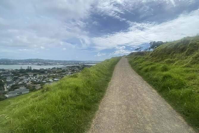 Private Half-Day Volcano Tour from Auckland - One Tree Hill adds choice and Māori context