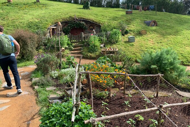 Private Hobbiton and Rotorua Auckland Tour House - From Hobbiton to Te Puia in Rotorua