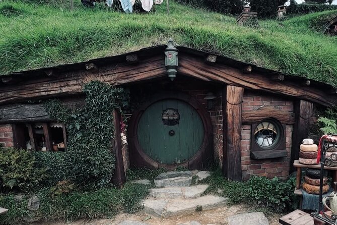 Private Hobbiton Movie Set and Rotorua Day Trip from Auckland - Lady Knox Geyser at 10:15 AM