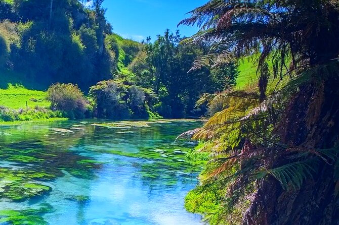 Private Hobbiton, Waitomo Caves, Blue Spring & Hamilton Transfer - A long day made easier by private transport