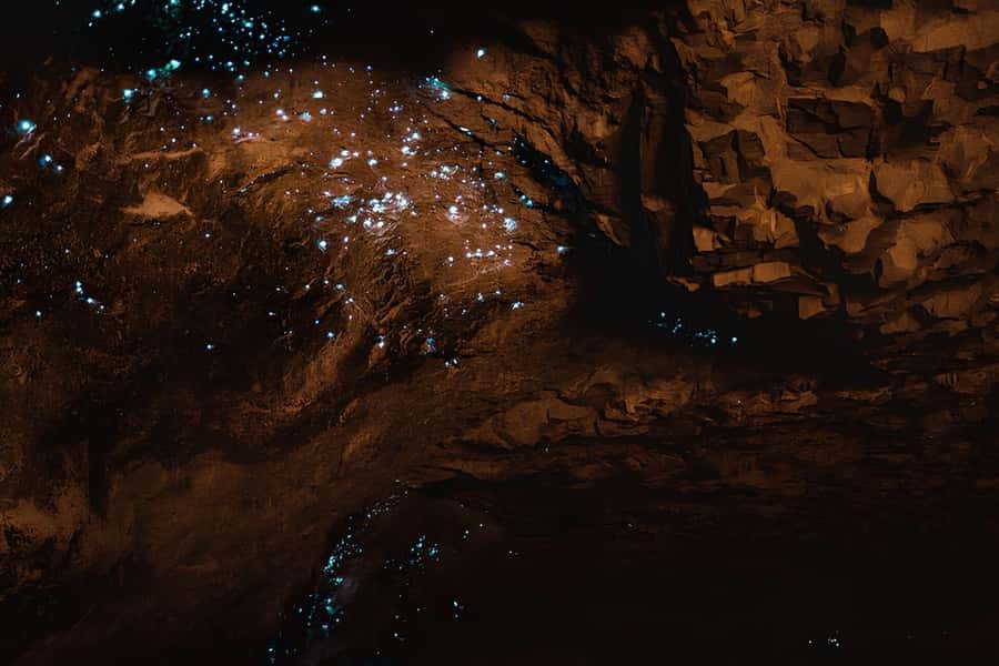 Private Hobbiton & Waitomo glowworm cave Day Trip - Is $585 per person good value?