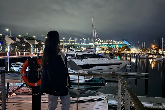Private Night Tour of Auckland, Sky Tower Bar, Bridge & Museum - Auckland Harbour Bridge: an engineering landmark after sunset