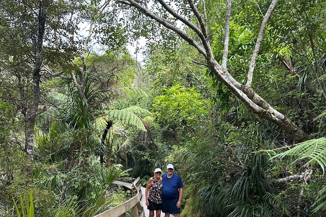 Private Piha Beach, Rainforest Adventure & Mt. Eden with Guide - Who will get the most from this tour?