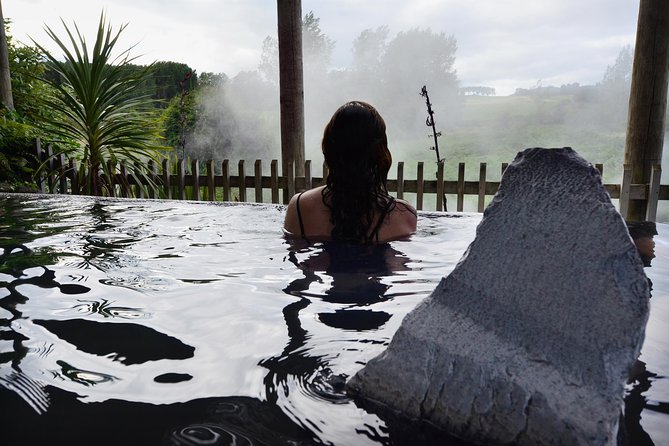 Private Rotorua Tour - Auckland Tour House - Te Puia: the main reason to choose this tour