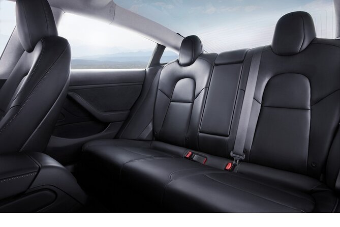Private Tesla Transfer: Auckland, Tauranga, Rotorua, Taupo - Choosing among Auckland, Hamilton, Tauranga, Rotorua, and Taupo