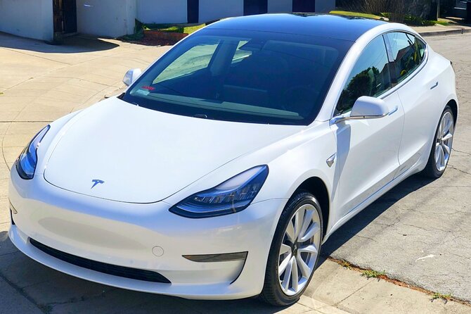 Private Tesla Transfer: Auckland, Tauranga, Rotorua, Taupo - The Tesla Model 3 difference