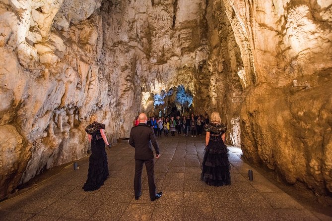 Private Tour [2 Days]: Auckland to Waitomo Caves, Rotorua, Te Puia & Wai-O-Tapu - The long return to Auckland