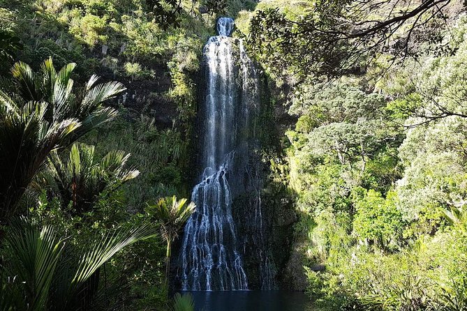 Private Tour: Auckland City and Countryside Tour - Maungawhau, or Mount Eden, gives you the clearest sense of Auckland