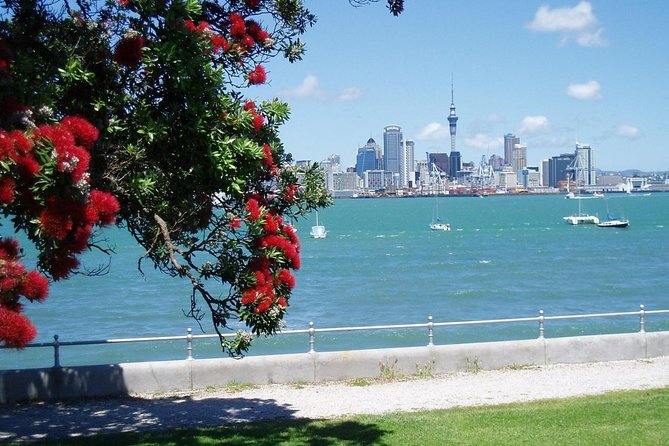 Private Tour: Auckland City and Countryside Tour - Beaches, rainforest, waterfalls, and the west coast