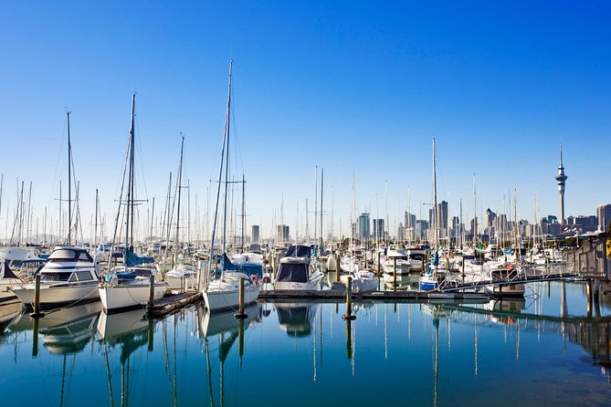 Private Tour: Auckland City and Countryside Tour - The private car is the biggest practical advantage