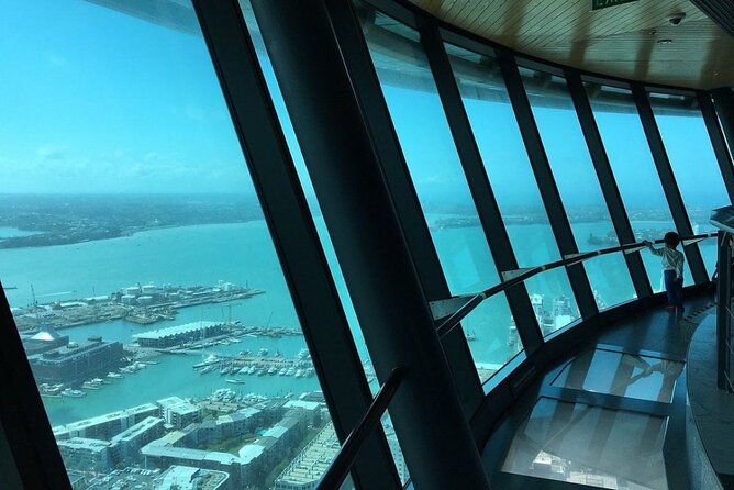 Private Tour: Auckland City, Aquarium, Sky Tower, Mt Eden & Wētā - Lunch, transport, and the value of a private vehicle