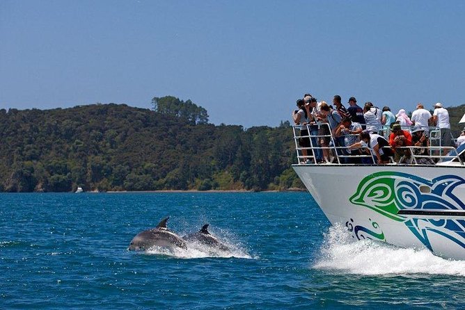 Private Tour: Bay of Islands Day Trip from Auckland - The real appeal of a private Northland day