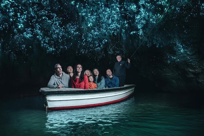 Private Tour: Bay of Islands Day Trip from Auckland - Waitangi Treaty Grounds and New Zealand’s founding agreement