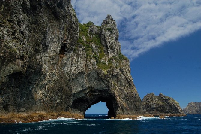 Private Tour: Bay of Islands Day Trip from Auckland - 7:30 am pickup and the long road north