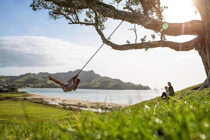 Private Tour - Coromandel Beach, Caves & Forest - Auckland to Coromandel in a private Mercedes