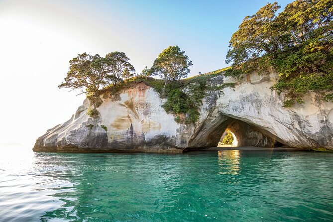 Private Tour - Coromandel Beach, Caves & Forest - Hot Water Beach and your temporary spa pool