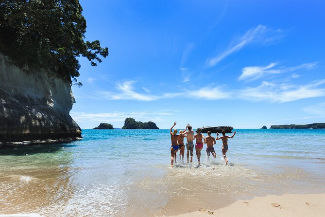 Private Tour - Coromandel Beach, Caves & Forest - Riding Driving Creek Railway through native forest