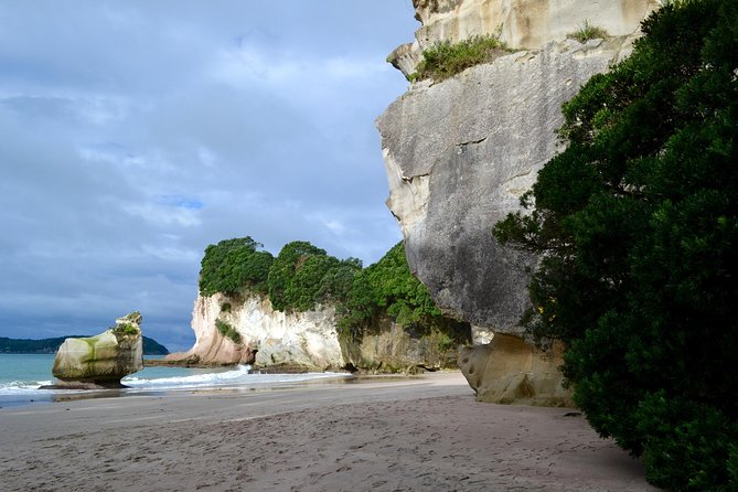 Private Tour - Coromandel Beach, Caves & Forest - Why the private format matters at $589.54