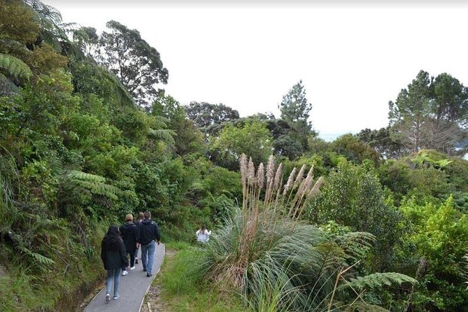 Private Tour - Coromandel Beach, Caves & Forest - Practical planning for the 12-hour outing