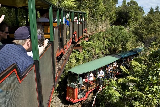 Private Tour - Coromandel Beach, Caves & Forest - Cathedral Cove by boat, with caves and sea life