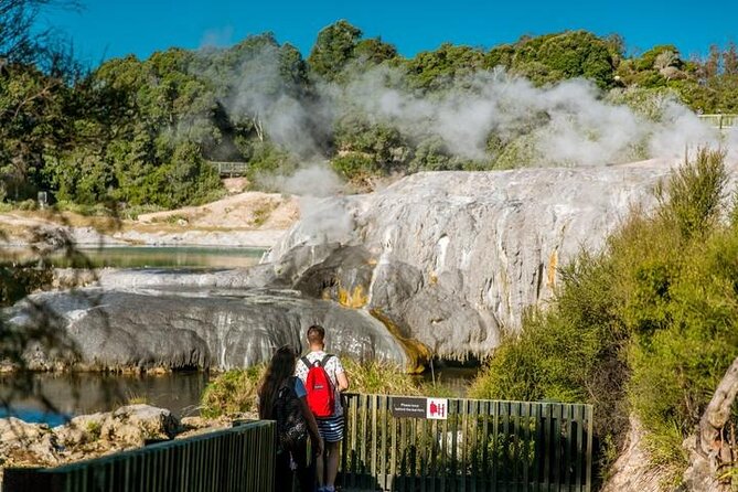 Private Tour from Auckland Hobbiton Movie Set and Te Puia Magic - The return to Auckland, or a useful Rotorua finish