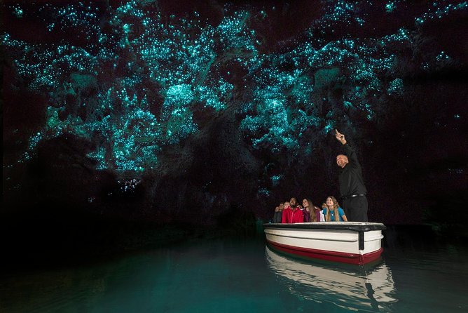 Private tour from Auckland - Waitomo Glowworm Caves, Zealong Tea & Kiwi Bird - Zealong Tea Estate: an unexpected New Zealand specialty