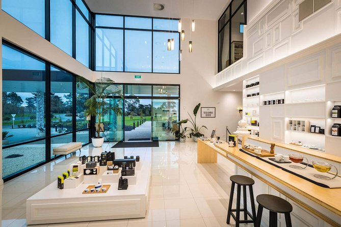 Private tour from Auckland - Waitomo Glowworm Caves, Zealong Tea & Kiwi Bird - Should you book the Waitomo, kiwi, and tea tour?