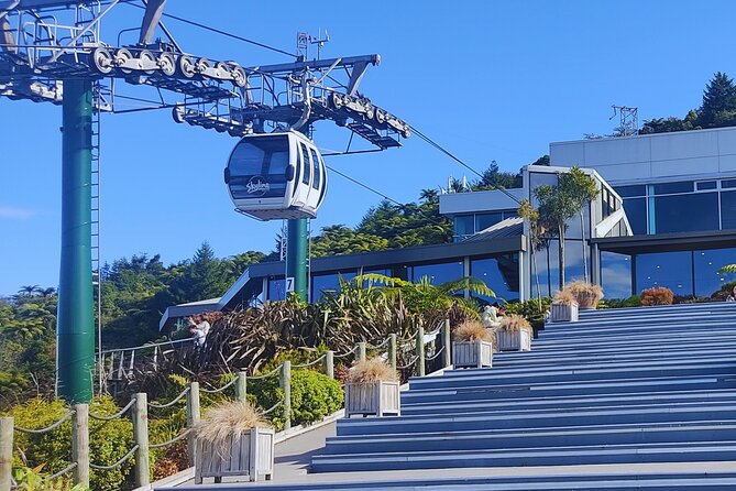 Private Tour: Hobbiton Movie Set, Rotorua Mud Pool & Treewalk - Who will get the most from this day