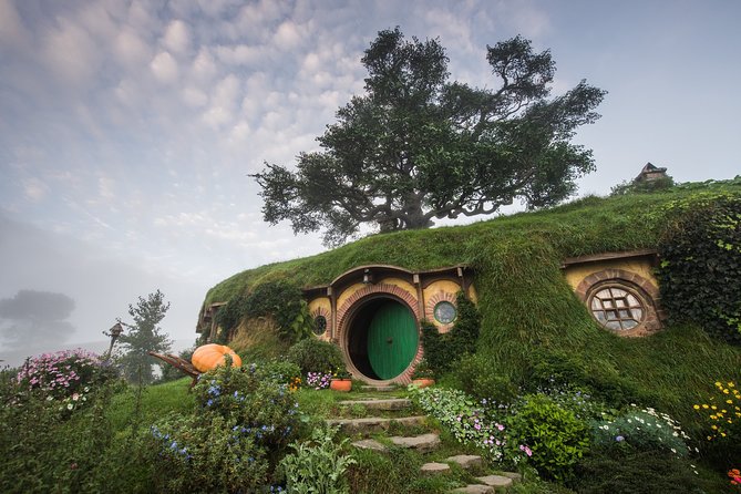 Private Tour: Hobbiton & Waitomo Glowworm Cave Experience - Who should book this tour?