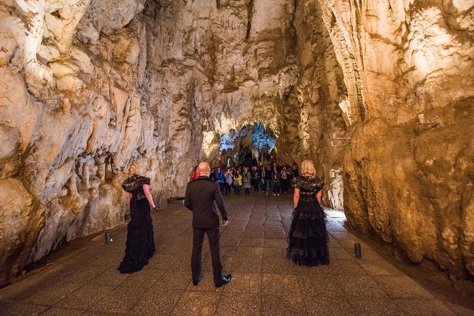 Private Tour: Hobbiton & Waitomo Glowworm Cave Experience - Final verdict: a big day with a strong payoff