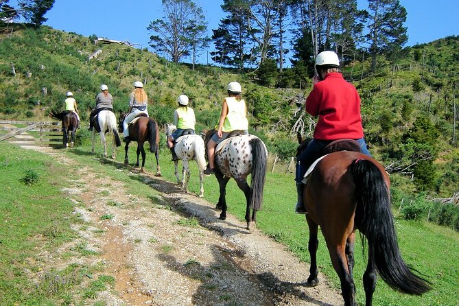 Private Tour - Horse Riding, Wine Tasting and Art Trail - Timing, Weather, and Cancellation