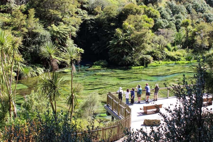 Private Tour: Hunua Falls, Blue Springs & Mclaren waterfall - Hunua Falls: the dramatic first stop