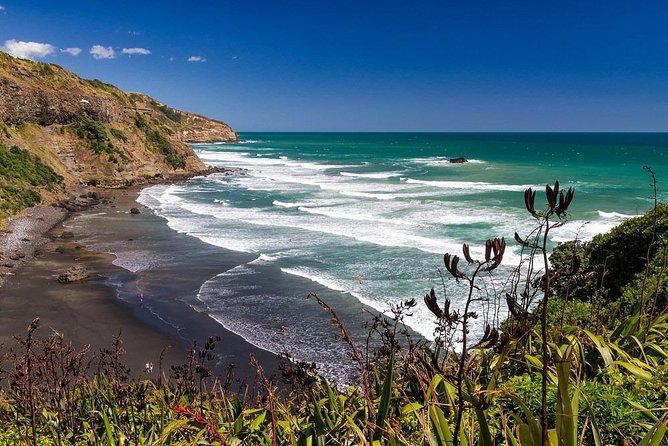Private Tour - Muriwai Beach & Wine Tasting - Muriwai Beach and its black-sand coast
