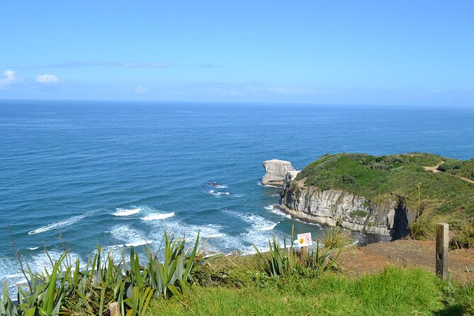 Private Tour - Muriwai Beach & Wine Tasting - Who will enjoy this Muriwai day trip