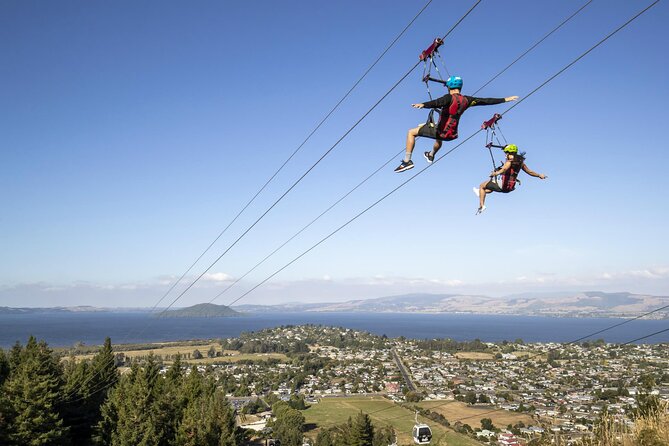Private Tour - Rotorua Adventures Day Trip From Auckland - Agrodome: baby animals and a working farm setting