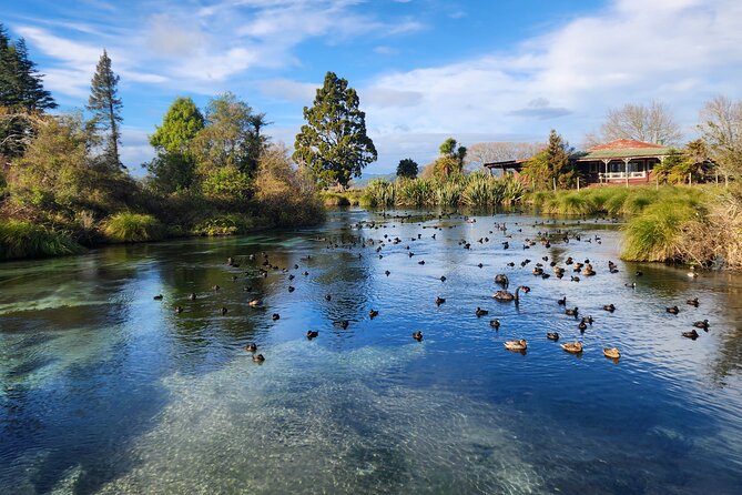 Private Tour Rotorua + Blue springs + WaiOtapu + Redwood forest - Key points to know before booking