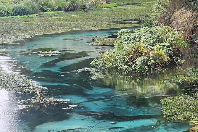 Private Tour Rotorua + Blue springs + WaiOtapu + Redwood forest - Hamurana Springs and the first taste of the Waikato