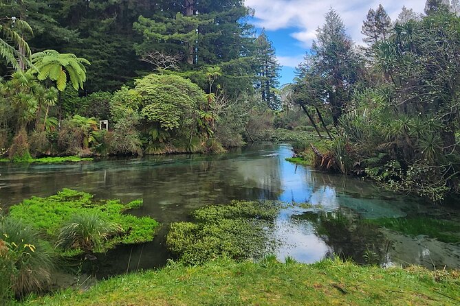 Private Tour Rotorua + Blue springs + WaiOtapu + Redwood forest - The return to Auckland and flexible drop-off