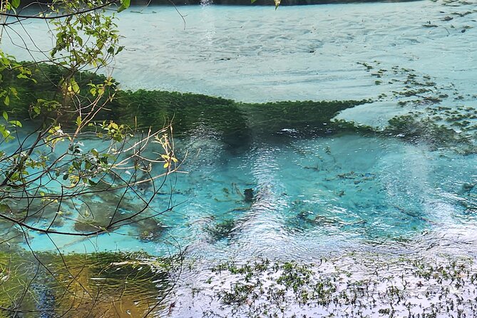 Private Tour Rotorua + Blue springs + WaiOtapu + Redwood forest - Wai-O-Tapu: color, steam, mud, and volcanic drama