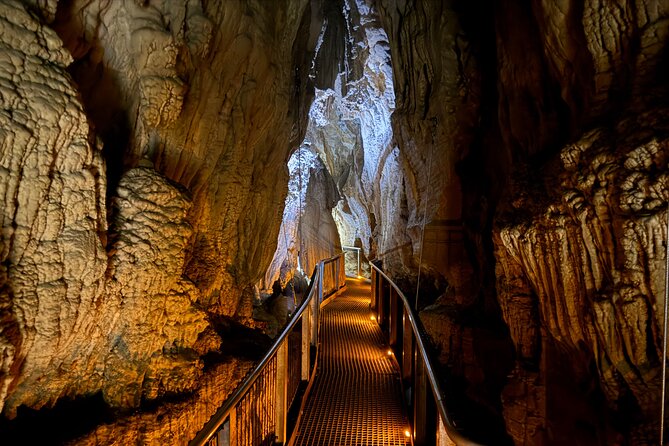 Private Tour: Ruakuri Cave, Waitomo Glowworm & Hobbiton Movie Set - Is $1,299 per person good value?