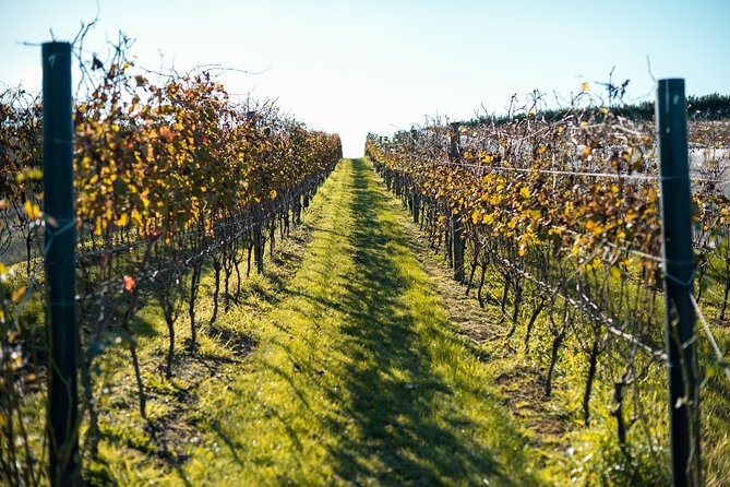Private Tour - Waiheke Island Luxury Experience - Why Waiheke makes a good Auckland day trip
