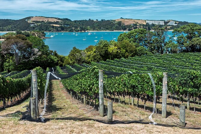 Private Tour - Waiheke Island Luxury Experience - Lunch by the water, with one useful point to clarify