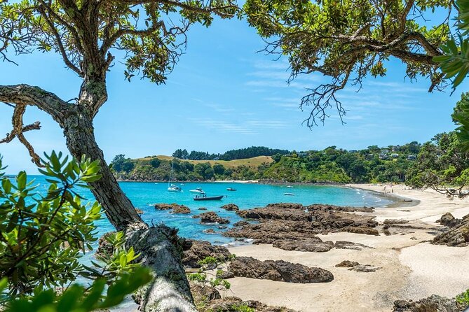 Private Tour - Waiheke Island Luxury Experience - Who will enjoy this private Waiheke day